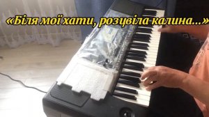 KORG pa600 стиль полька.звуки,педи.