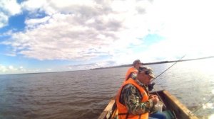 Щука на отводной поводок