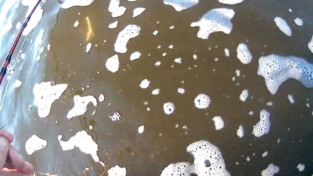 ЛОВЛЯ СОМА НА ВОЛГЕ.БЕШЕНЫЙ СОМ РАЗОРВАЛ ЛОДКУ.ВОЛЖСКИЙ КЛЕВ СОМА смотреть онлайн