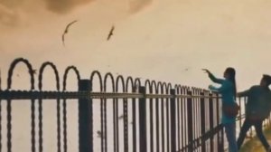 Садраддин Болат- Алия🔥 новый клип😍😍