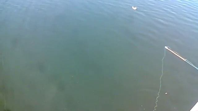 #Рыбалка_в_Мариуполе #Азовское_море #экстрим_парк #Fishing_in_Mariupol #Azov_Sea # Extreme_park