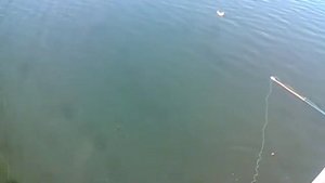 #Рыбалка_в_Мариуполе #Азовское_море #экстрим_парк #Fishing_in_Mariupol #Azov_Sea # extreme_park