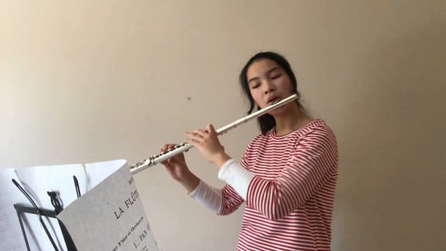 Jules Mouquet La Flûte de Pan 1st movt played by 15 years old flutist смотреть онлайн