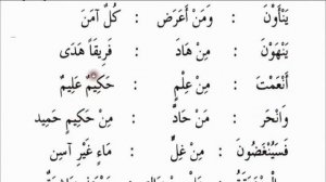 Таджвид 4 урок нун сакина ва танвин изхар