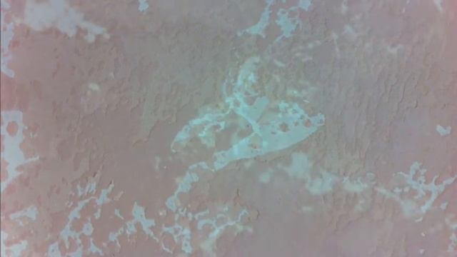Механизация Декора . Декоративная штукатурка . Как мы делаем двухслойную "Карту мира".