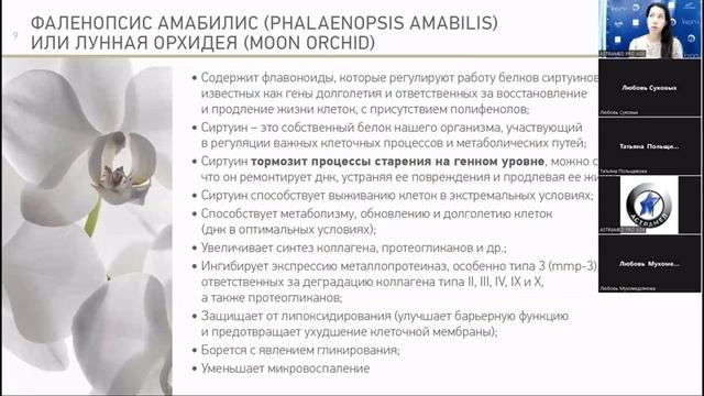 Новинка! Программа, реставрирующая кожу, «Черная лунная орхидея»