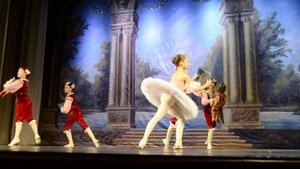 Театр Детского Балета "Спящая Красавица" (пажи)