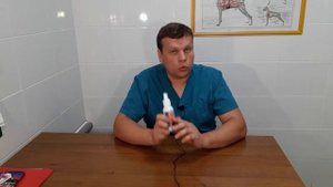 ЧЕМ ОБРАБОТАТЬ РАНУ ПИТОМЦУ? МОНКЛАВИТ 1