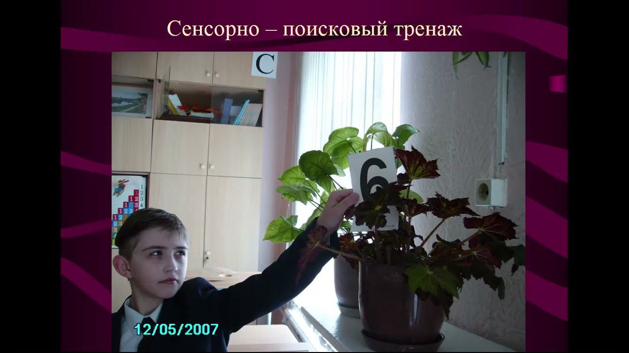 Обучение с заботой о здоровье - Сафонова Ирина