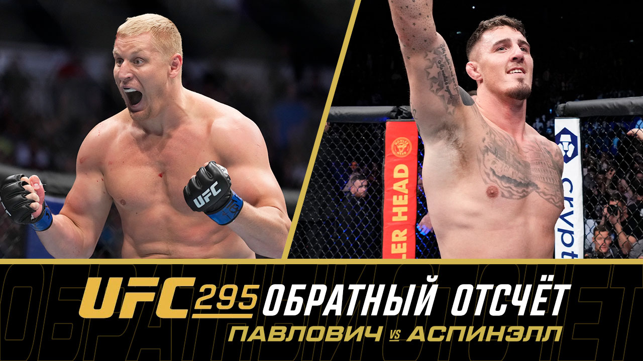 UFC 295: Обратный отсчет - Павлович vs Аспинэлл