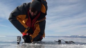 Экспресс-тест четырёх разных ледобуров