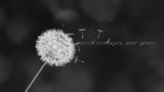 Любовная история Андрея и Татьяны смотреть онлайн