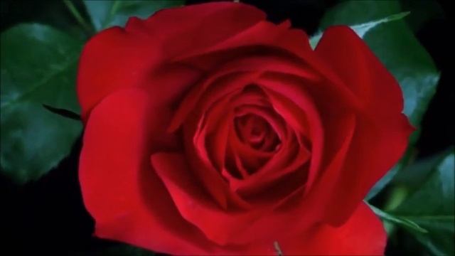 МУЗЫКА ОТКРЫВАЮЩАЯ СЕРДЕЧНУЮ ЧАКРУ смотреть онлайн