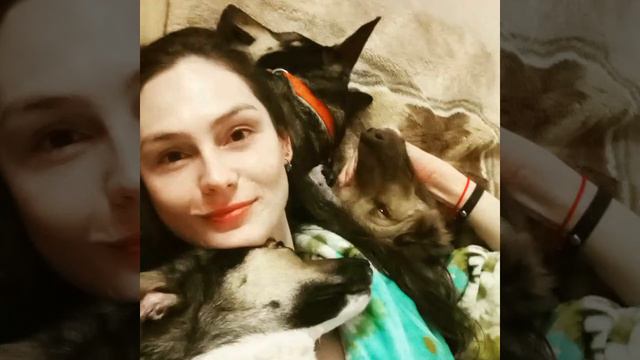 Dogstel - хостел для собак 🏘️🐶 смотреть онлайн