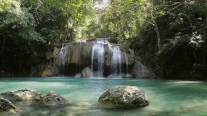 запорожец,каменный век и водка