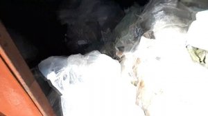СДАЮ ЗА ДЕНЬГИ ПЛЕНКУ ПОЛИЭТИЛЕН Сколько можно заработать сдавая плёнку сдаём стрейч и пвд ВТОРСЫРЬ
