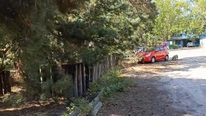 Азовское море. пос.Юрьевка, Донецкая область. Август 2020.