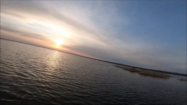 Охота на селезня 2021.Открытие весенней охоты!Стреляем только благородную утку))) смотреть онлайн