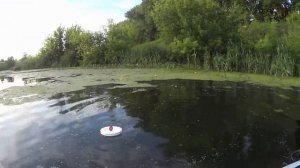 ЩУКА НА КРУЖКИ И КРУПНЫЙ ОКУНЬ!