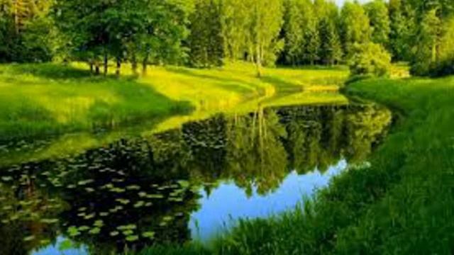 Оля Мама приветствует всех  #знакомьтесь  сад,море,пляж.hi.hello