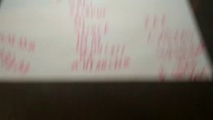 Как сделать цветной ник в чикен ган.