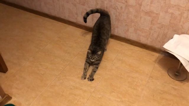 Не сдержалась .(24.09.23) смотреть онлайн