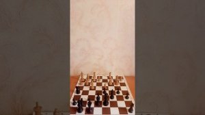 План в шахматной партии. Что это такое и зачем?