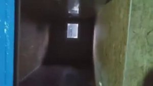 Бытовка из морского контейнера 20ф. Евробуд модуль