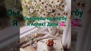 НАЗМА ЯАЛЛАХ1 ДЕЛИ  АНЗОР ВЕДЕНО