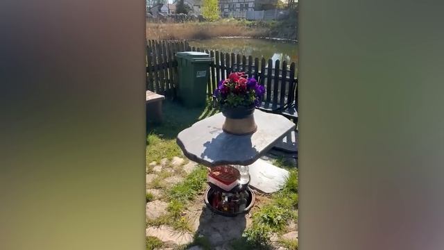 Они не Знали, Что Их Снимает Камера, и Сделали Это. 200 Невероятных Моментов смотреть онлайн