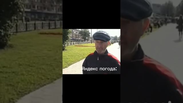 Яндекс погода