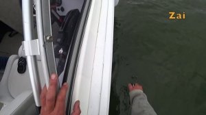 СОМ на КВОК с GARMIN PANOPTIX.