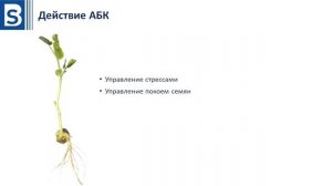 Гербициды. Урок 4. Гормоны