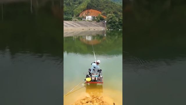 【鄧剛釣魚】白水磜水庫釣翹嘴翻車，老闆賺麻了，不料接下來鰱鳙才是他的惡夢