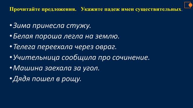 Русский язык.  Именительный и винительный падеж имени существительного.