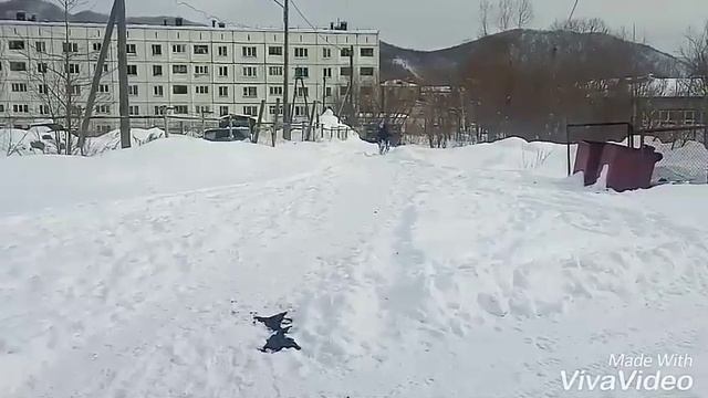 Самодельная гусеница на ттр 125 смотреть онлайн