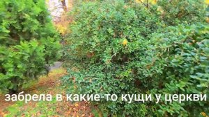 ?ИТАЛИЯ Влог?Вам Все Равно Придется Это Делать?Пара СОВЕТОВ Для Красоты