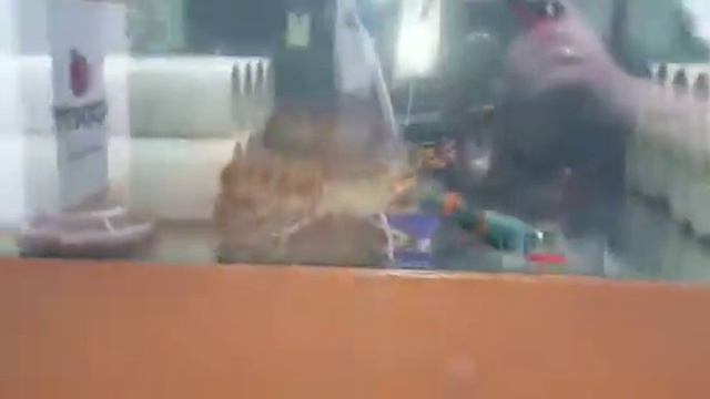 Выставка ExpoCrimea 2021, Ялта смотреть онлайн