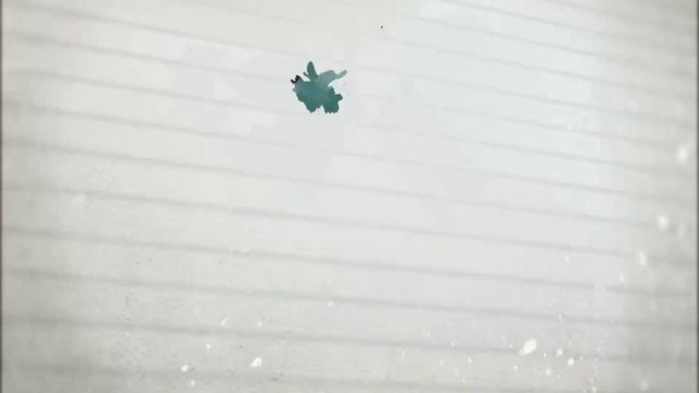 SKI_2017_1