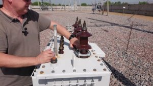 кто такая анцапфа movie