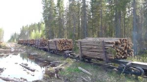 УЖД. Архангельская область. Лойга.