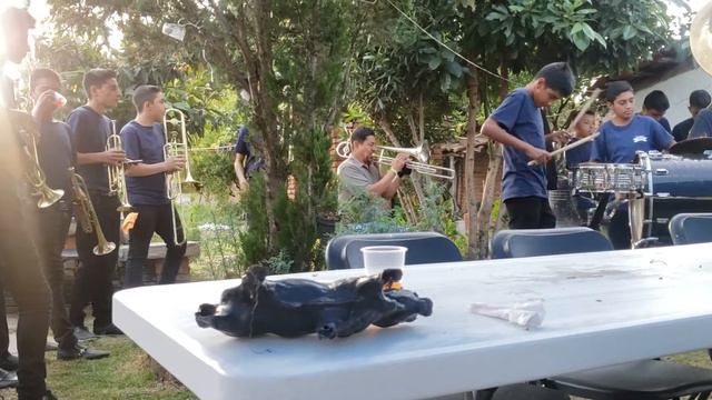 Nereida - Banda Los Limoncitos de San Lorenzo Michoacan смотреть онлайн