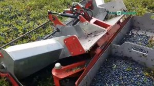 Приспособление для сбора черники