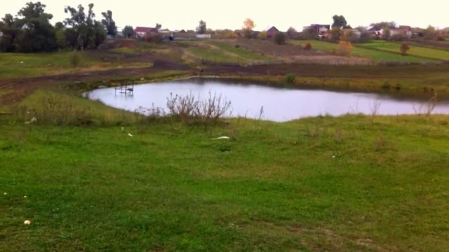 Родина, пусть кричат Уродина, хоть и не красавица, а она мне нравится...! смотреть онлайн