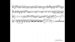 J. Hummel -Trumpet Concerto E flat Major, T. Dokshizer (trumpet Bb)