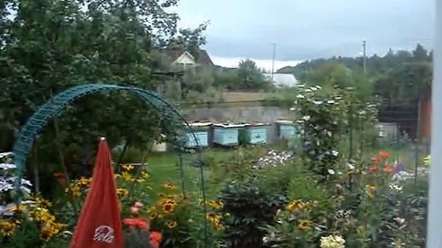 Средство от морщин "Жу-жу" , смотреть до конца. смотреть онлайн