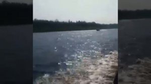 Водомет меркурий60