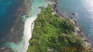 Остров Пиджен (Pigeon Island), Нилавели (Nilaveli). Sri Lanka