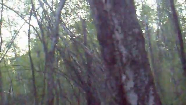 станция удельная смотреть онлайн