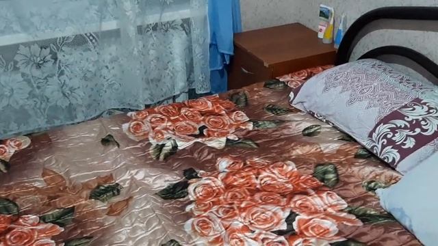 Как избавиться от клопов